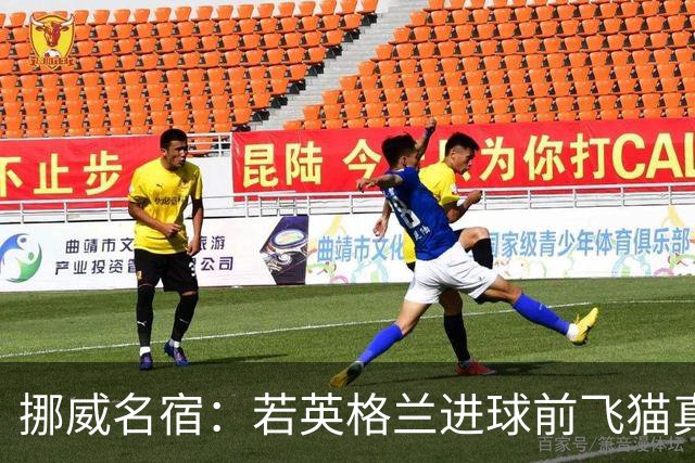 挪威名宿：若英格兰进球前飞猫真阻挡了皮球那理应坠球，太憋屈了